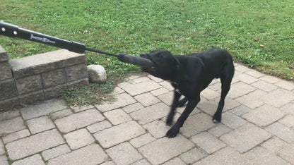 TUGMUTT Original – Interactive Bungee Tug Toy