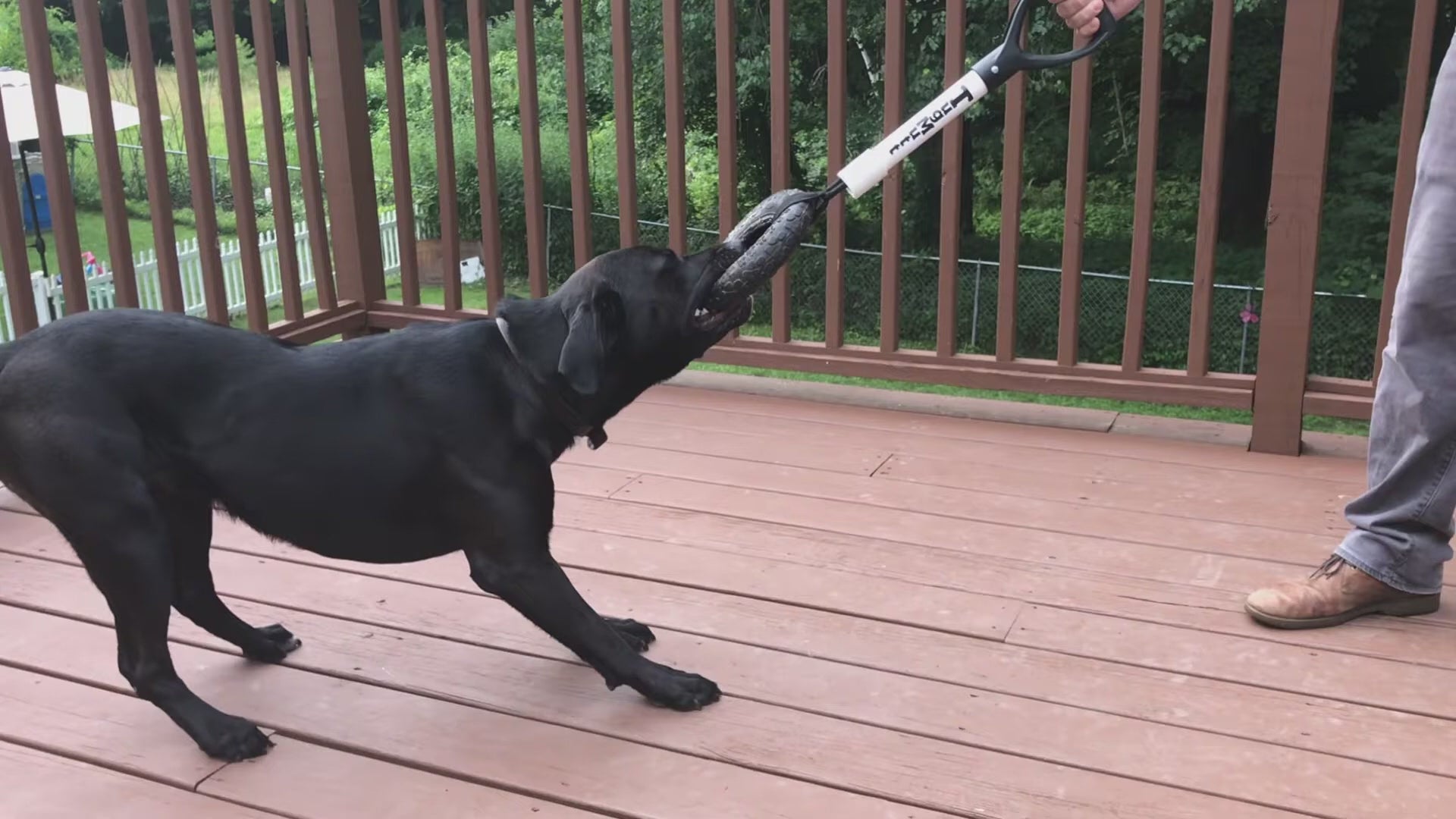 Load video: 