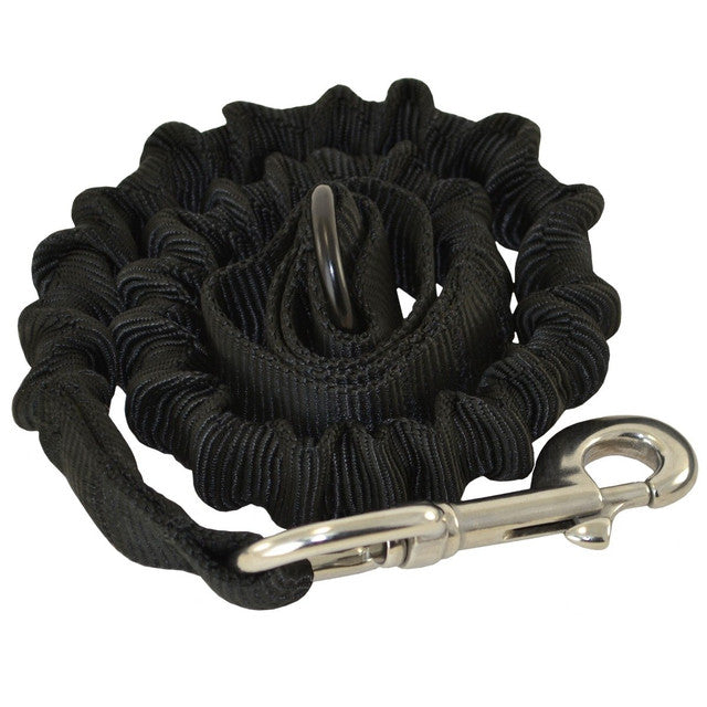 RAY ALLEN - Tactical Bungee Leash