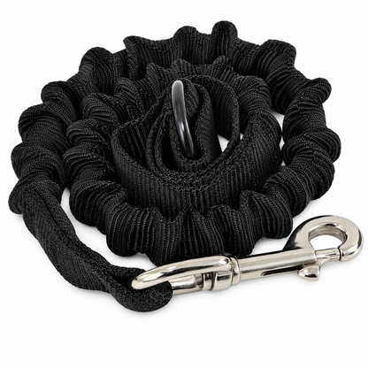 RAY ALLEN Tactical Bungee Dog Leash – Shock-Absorbing & Hands-Free
