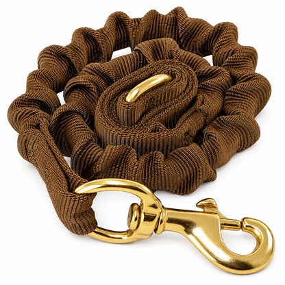 RAY ALLEN Tactical Bungee Dog Leash – Shock-Absorbing & Hands-Free