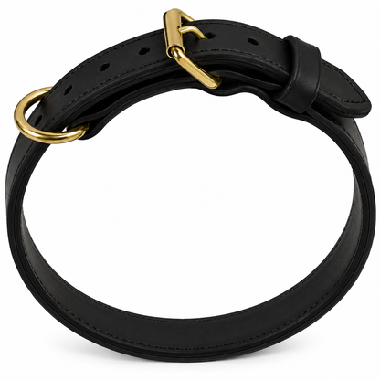 Ray Allen 1 1/4" Double-Layer Biothane Collar for Dogs – Waterproof & Heavy Duty