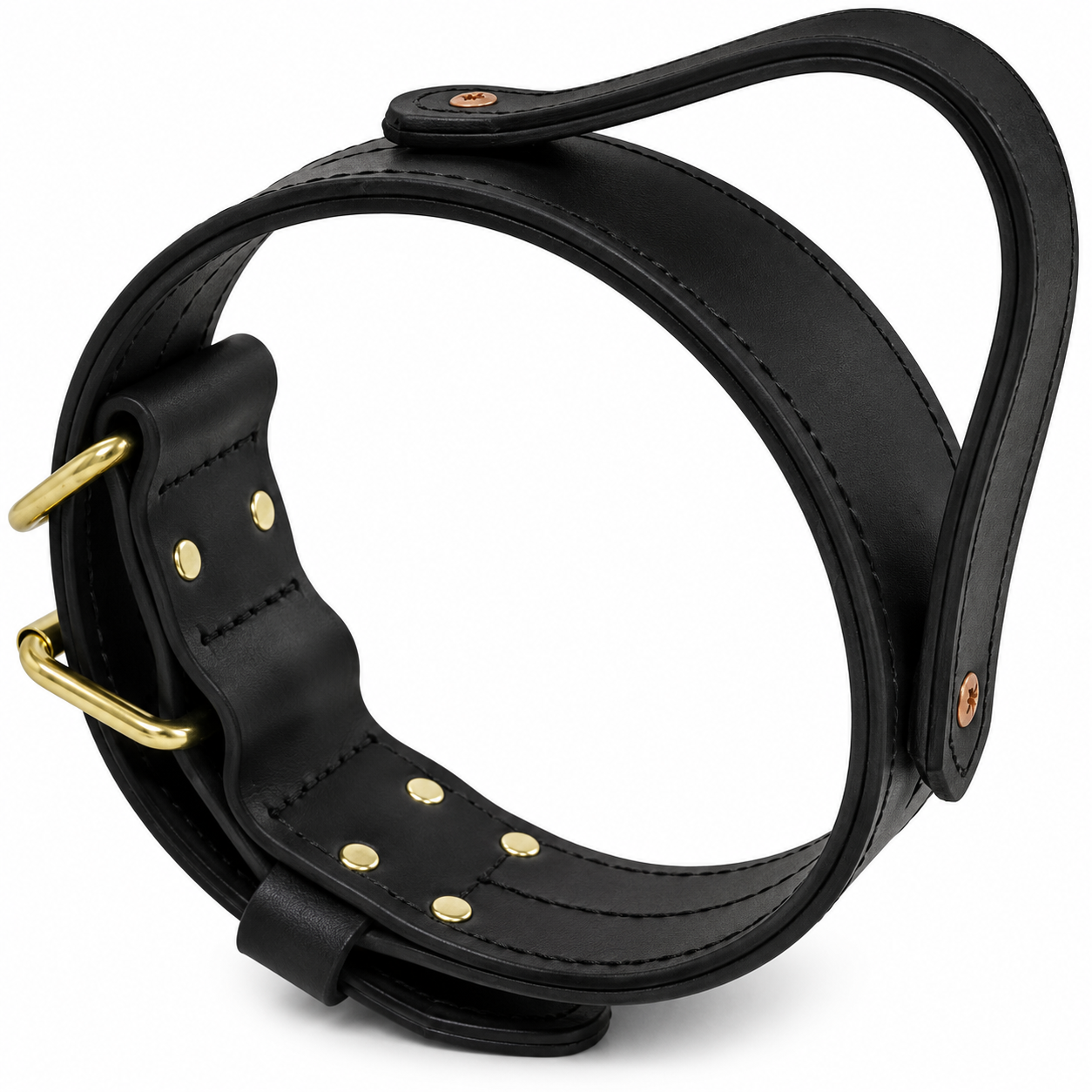 Ray Allen 2" Double-Layer Biothane Collar – Waterproof Handle Collar