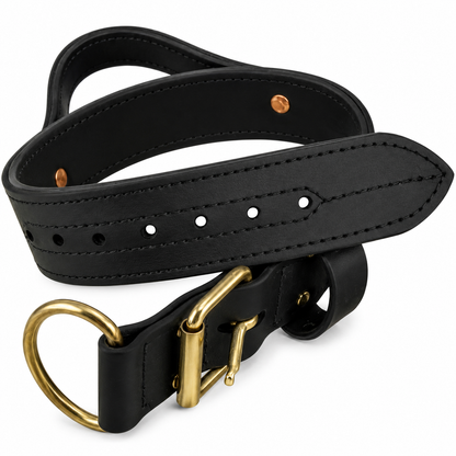 Ray Allen 2" Double-Layer Biothane Collar – Waterproof Handle Collar