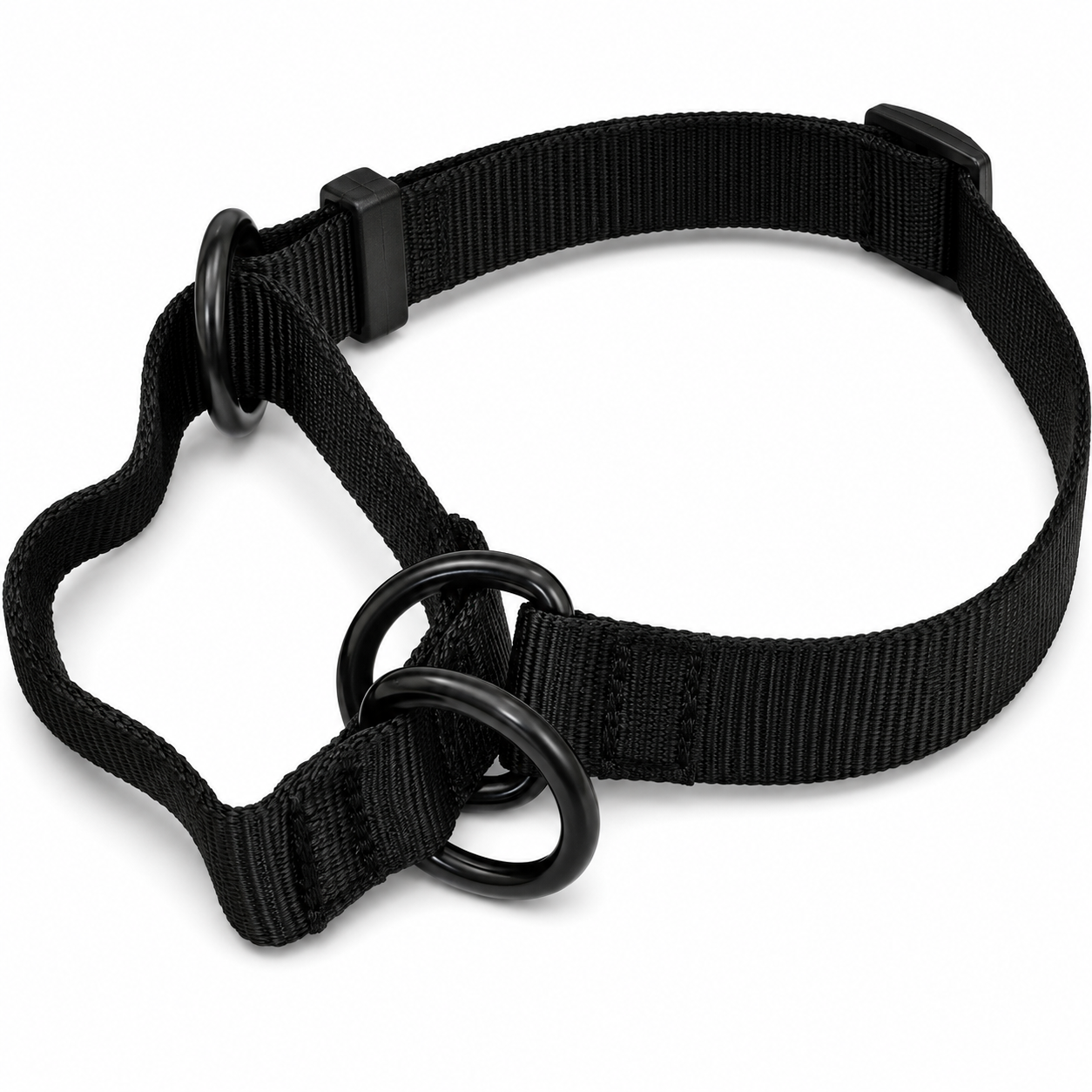 Ray Allen Martingale Nylon Collar for Dogs – Adjustable Training Collar for Better Control