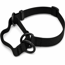 Ray Allen Martingale Nylon Collar for Dogs – Adjustable Training Collar for Better Control