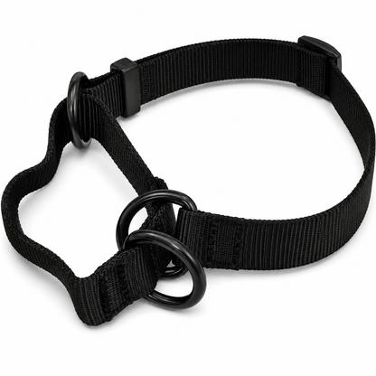 Ray Allen Martingale Nylon Collar for Dogs – Adjustable Training Collar for Better Control