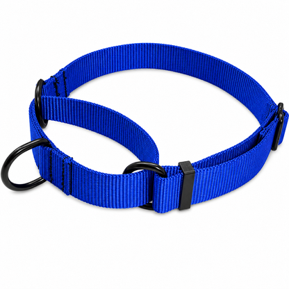 Ray Allen Martingale Nylon Collar for Dogs – Adjustable Training Collar for Better Control