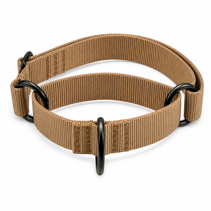Ray Allen Martingale Nylon Collar for Dogs – Adjustable Training Collar for Better Control