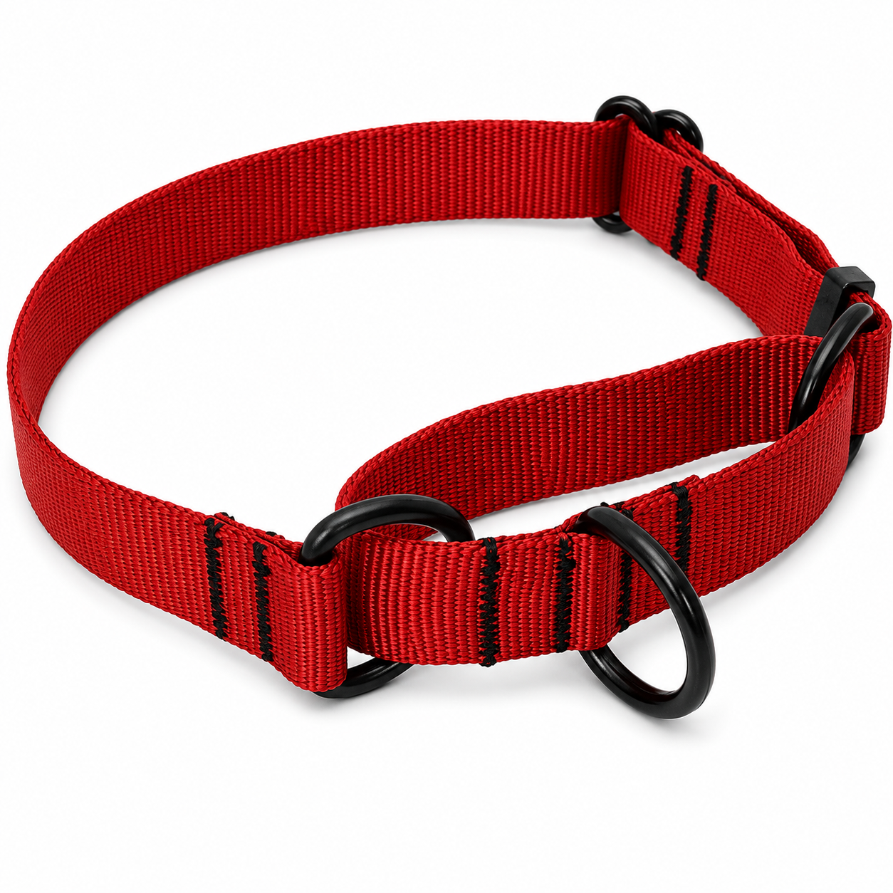 Ray Allen Martingale Nylon Collar for Dogs – Adjustable Training Collar for Better Control