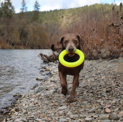 RUFF DAWG - Dawg Ring