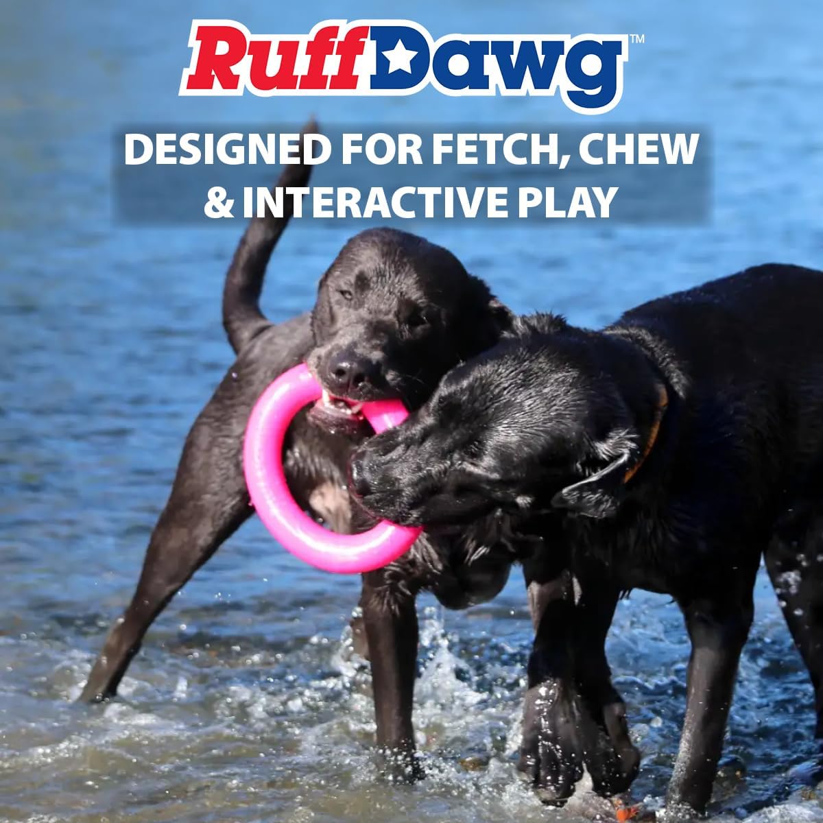 RUFF DAWG - Dawg Ring