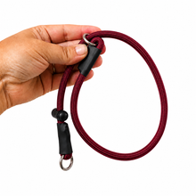 GSS Paramax Slip Dog Collar with Stainless Steel O-Rings & Adjustable Stopper