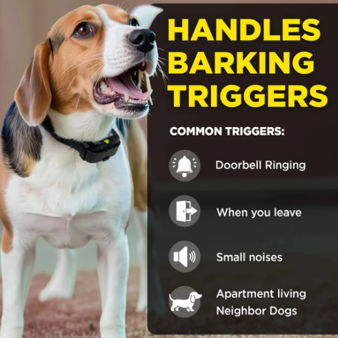 DOGTRA - SMART NOBARK
