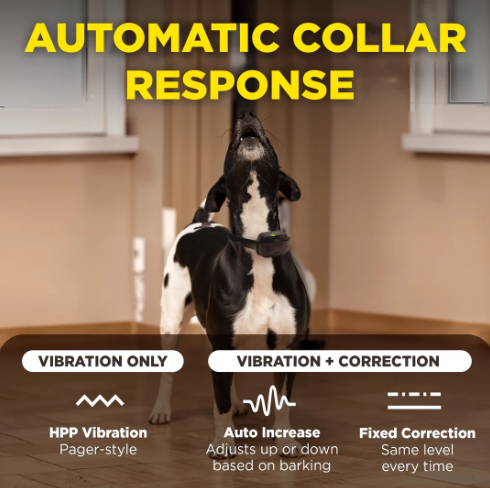 DOGTRA - SMART NOBARK