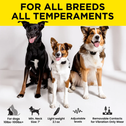 DOGTRA - SMART NOBARK