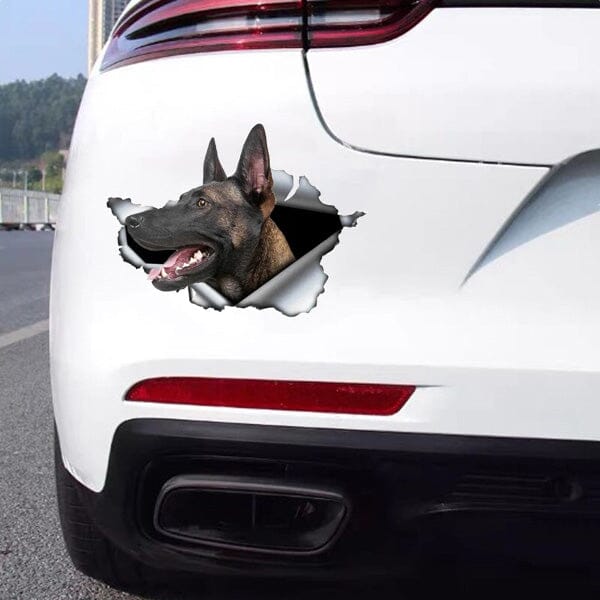Malinois Breaking Through - Sticker 8" x 6" in , durable for dogs