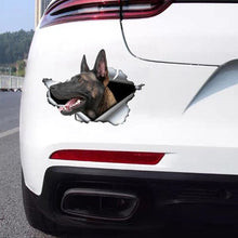 Malinois Breaking Through - Sticker 8" x 6" in , durable for dogs