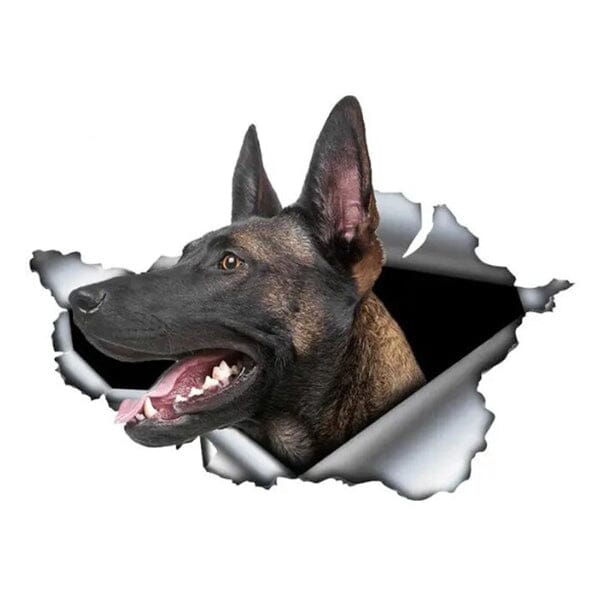 Malinois Breaking Through - Sticker 8" x 6" in , durable for dogs