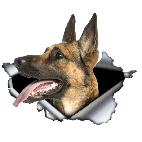 STICKERS/DECALS - Malinois Busting Loose - Sticker 8" x 7" German Shepherd Shop 