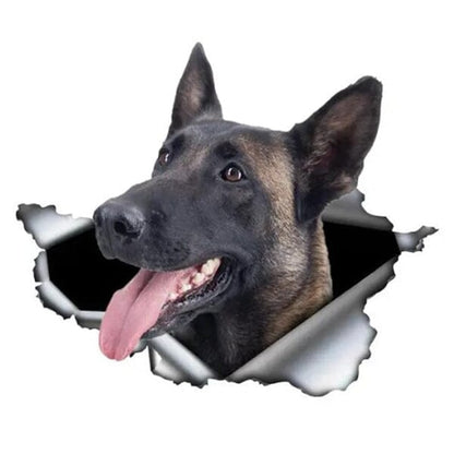 Malinois Busting Out - Sticker 8" x 5.5" in , durable for dogs