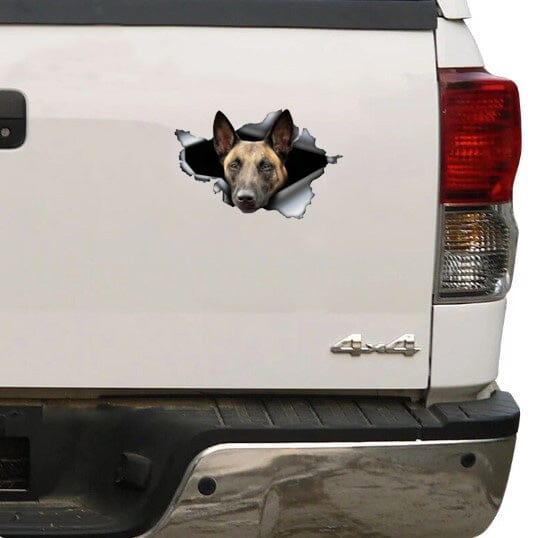 STICKERS/DECALS - Malinois Tearing Through - Sticker 5" x 3.5" German Shepherd Shop 