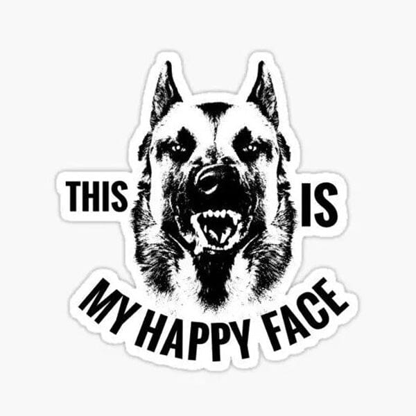 STICKERS/DECALS - Malinois: This Is My Happy Face - Sticker 7" x 7.5" German Shepherd Shop 