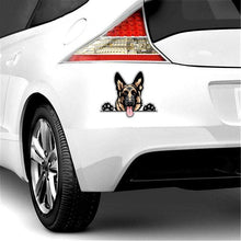 Peeking German Shepherd (Color) - Sticker 7.5" x 6" in , durable for dogs