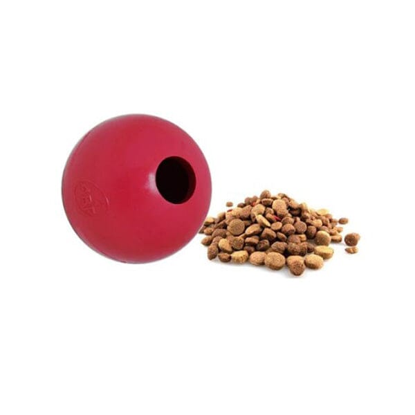 4BF - Crazy Bounce Ball in , durable for dogs