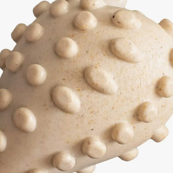 BETTERBONE - Tough Natural Chew Toy in , durable for dogs