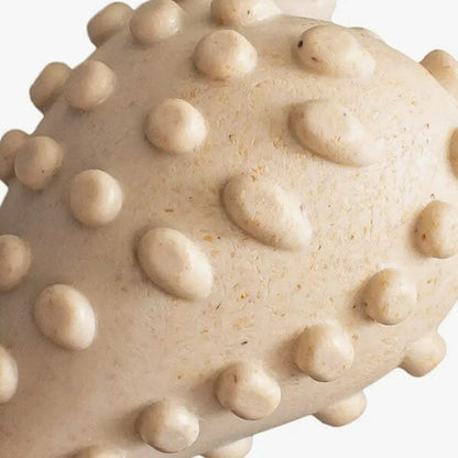 BETTERBONE - Tough Natural Chew Toy in , durable for dogs