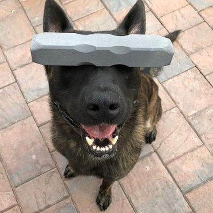 BULLETPROOF PET - Indestructibone Professional Grade XL Plus for Dogs 51-100 LBS in , durable Dog Toys for dogs