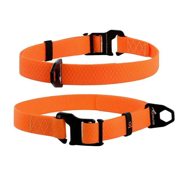 COLLAR - Evolutor Dog Collar - Lifetime Warranty Collar 