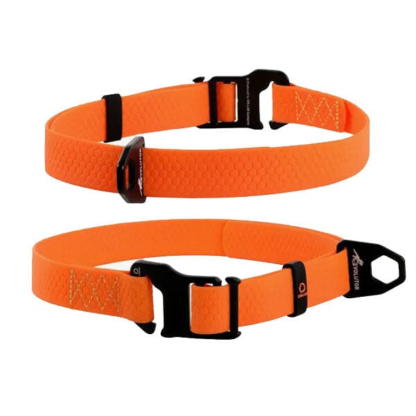 COLLAR - Evolutor Dog Collar - Lifetime Warranty in , durable for dogs