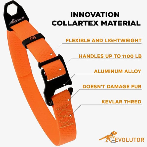 COLLAR - Evolutor Dog Collar - Lifetime Warranty in , durable for dogs