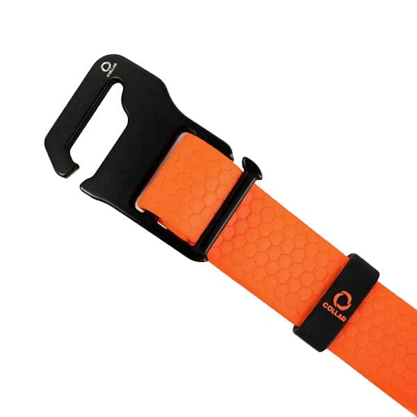 COLLAR - Evolutor Dog Collar - Lifetime Warranty Collar 