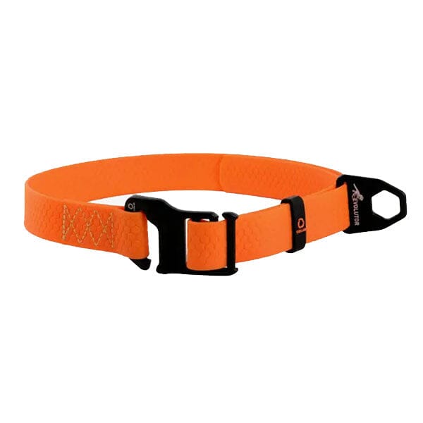 COLLAR - Evolutor Dog Collar - Lifetime Warranty in Neon Orange, durable for dogs