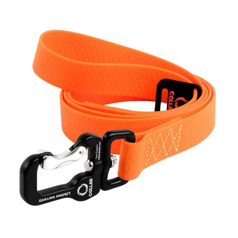 COLLAR - Evolutor Dog Leash - Lifetime Warranty Pet Collars & Harnesses Collar 4 ft Orange 