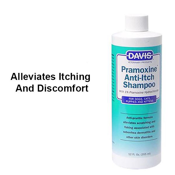 Davis - Pramoxine Anti-Itch Shampoo 12-oz Grooming Davis 