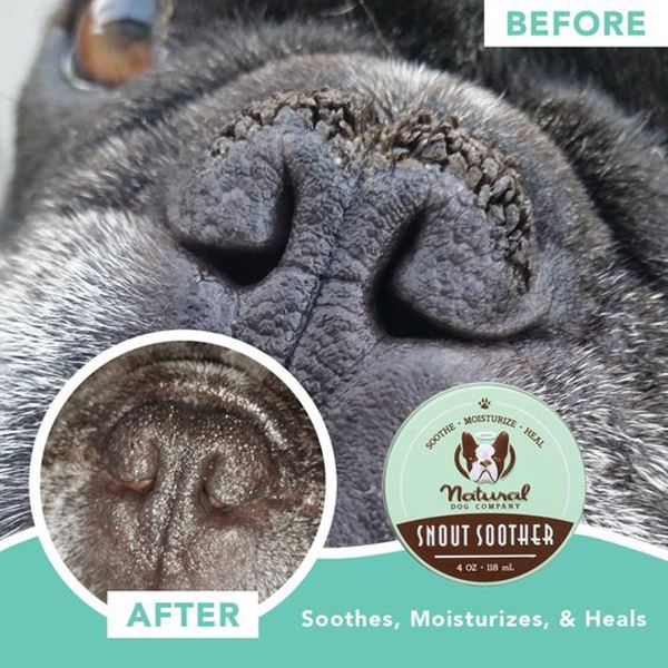 DOG NATURAL COMPANY - Snout Soother - 2 oz Tin Health & Wellness Natural Dog Company 