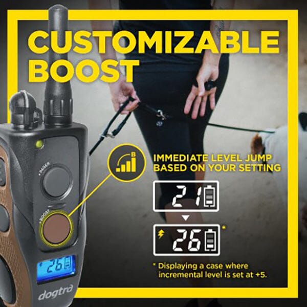 DOGTRA - 1900S Hands Free Plus Boost & Lock Remote Trainer in , durable for dogs