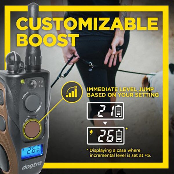 DOGTRA - 1902S Hands Free Plus Boost & Lock Remote Trainer in , durable for dogs