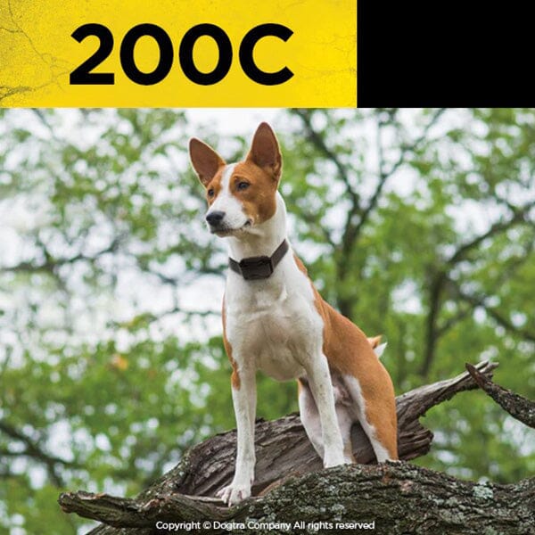 DOGTRA - 200C Intuitive Compact Remote Trainer in , durable for dogs