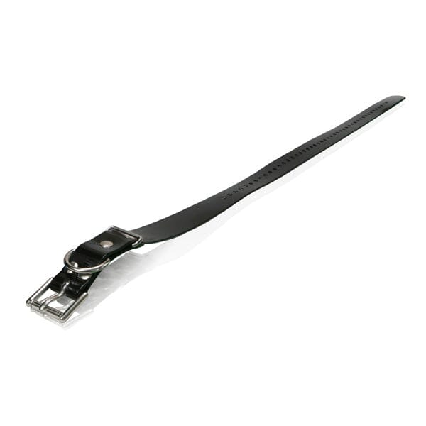 Dogtra - Strap 1" x 30" in Black, durable for dogs