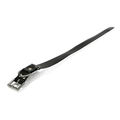 Dogtra - Strap 1" x 30" in Black, durable for dogs