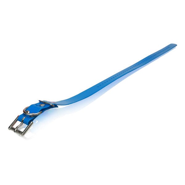 Dogtra - Strap 1" x 30" in Blue, durable for dogs