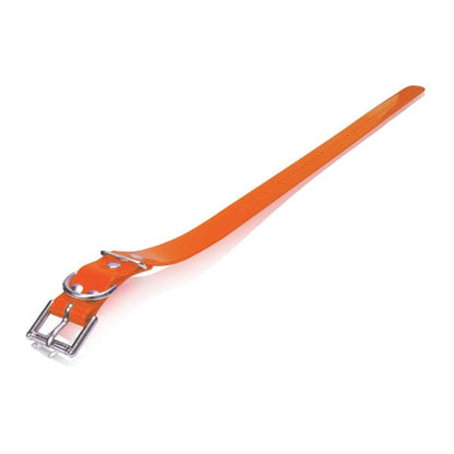 Dogtra - Strap 1" x 30" in Orange, durable for dogs