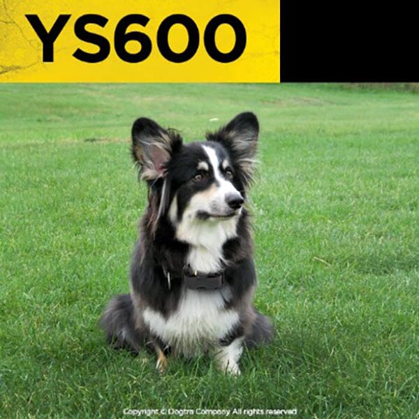 DOGTRA - YS600 No Bark Collar in , durable for dogs