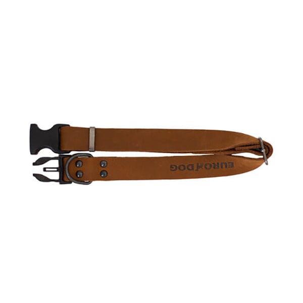 EURO DOG - Genuine Leather Sport Style Dog Collar in , durable for dogs