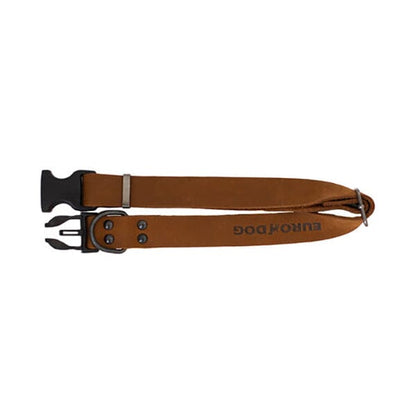 EURO DOG - Genuine Leather Sport Style Dog Collar in , durable for dogs